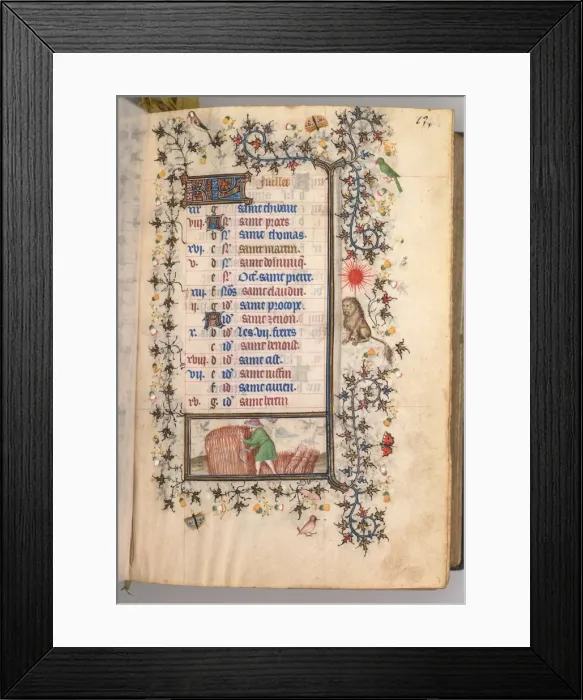 Framed Print : Hours of Charles the Noble, King of Navarre (1361-1425): fol. 7r, July, c. 1405. Creator Framed Print : Hours of Charles the Noble, King of Navarre (1361-1425): fol. 7r, July, c. 1405. Creator