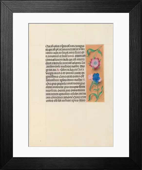 Framed Print : Hours of Queen Isabella the Catholic, Queen of Spain: Fol. 112r, c. 1500. Creator Framed Print : Hours of Queen Isabella the Catholic, Queen of Spain: Fol. 112r, c. 1500. Creator