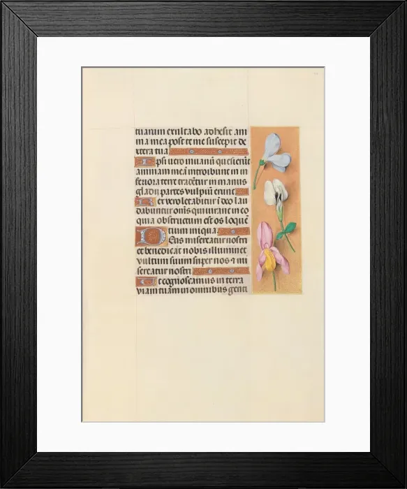 Framed Print : Hours of Queen Isabella the Catholic, Queen of Spain: Fol. 118r, c. 1500. Creator Framed Print : Hours of Queen Isabella the Catholic, Queen of Spain: Fol. 118r, c. 1500. Creator