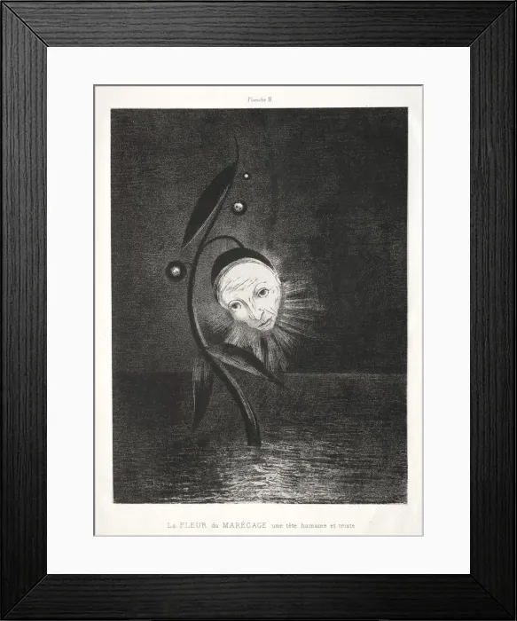 Framed Print : Homage to Goya: The Marsh Flower, a Sad Human Head, 1885. Creator: Odilon Redon (French Framed Print : Homage to Goya: The Marsh Flower, a Sad Human Head, 1885. Creator: Odilon Redon (French