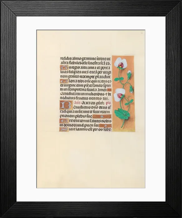 Framed Print : Hours of Queen Isabella the Catholic, Queen of Spain: Fol. 123r, c. 1500. Creator Framed Print : Hours of Queen Isabella the Catholic, Queen of Spain: Fol. 123r, c. 1500. Creator