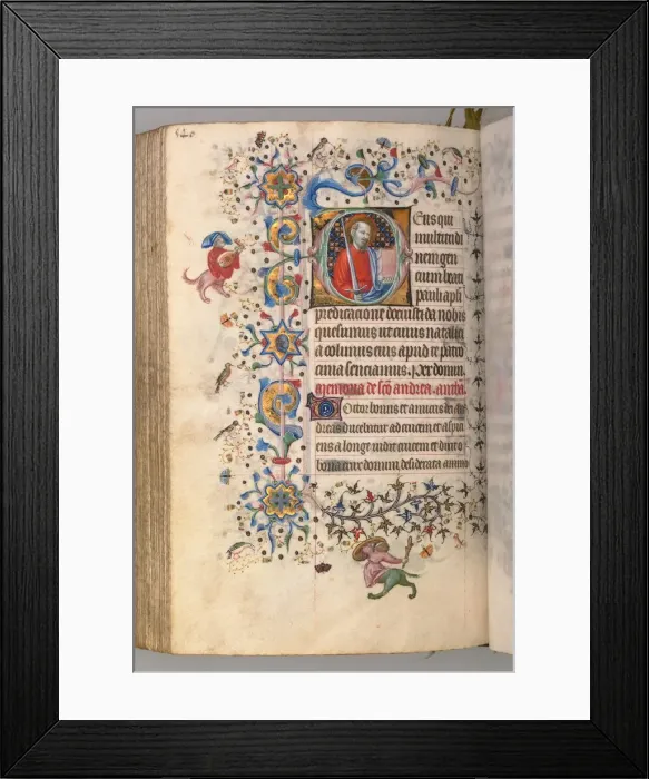 Framed Print : Hours of Charles the Noble, King of Navarre (1361-1425): fol. 264v, St. Paul, c. 1405 Framed Print : Hours of Charles the Noble, King of Navarre (1361-1425): fol. 264v, St. Paul, c. 1405