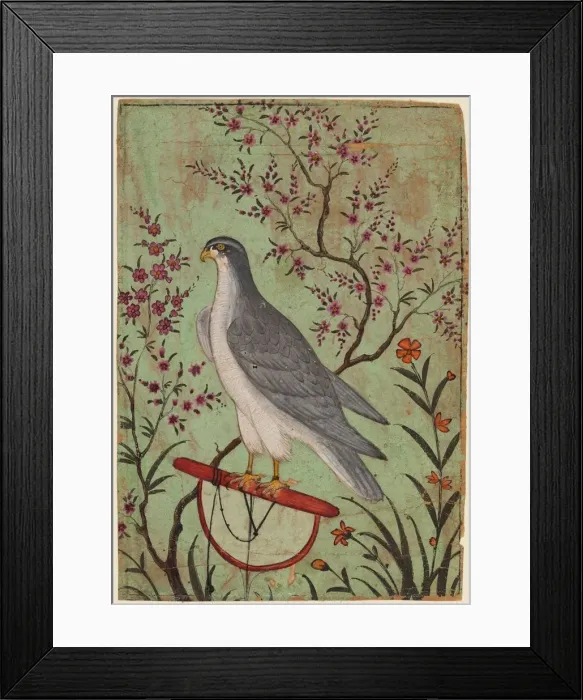 Framed Print : Falcon on a Perch, c. 1610. Creator: Unknown Framed Print : Falcon on a Perch, c. 1610. Creator: Unknown