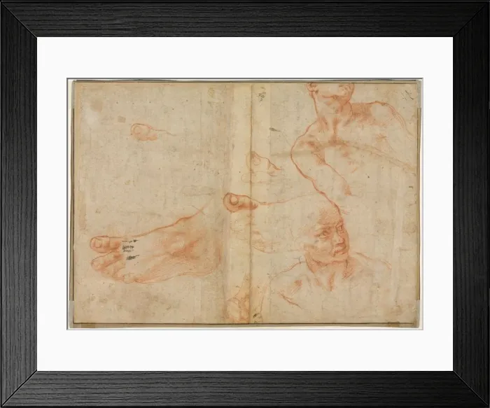 Framed Print : Figure Studies for the Sistine Ceiling (verso), 1510-11. Creator: Michelangelo Buonarroti (Italian Framed Print : Figure Studies for the Sistine Ceiling (verso), 1510-11. Creator: Michelangelo Buonarroti (Italian