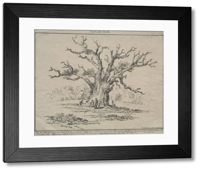 Framed Print : Fairlop Oak, 1811. Creator: D. H. Redman (British) Framed Print : Fairlop Oak, 1811. Creator: D. H. Redman (British)