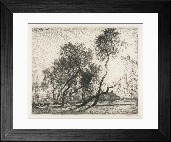 Framed Print : Farm with Poplar Trees of Holland, 1914. Creator: Auguste Louis Lepere (French, 1849-1918) Framed Print : Farm with Poplar Trees of Holland, 1914. Creator: Auguste Louis Lepere (French, 1849-1918)