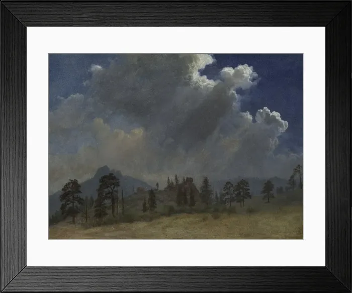 Framed Print : Fir Trees and Storm Clouds, c. 1870. Creator: Albert Bierstadt (American, 1830-1902)