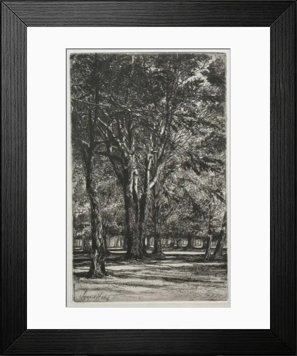 Framed Print : Kensington Gardens (The Large Plate), 1860. Creator: Francis Seymour Haden (British, 1818-1910) Framed Print : Kensington Gardens (The Large Plate), 1860. Creator: Francis Seymour Haden (British, 1818-1910)