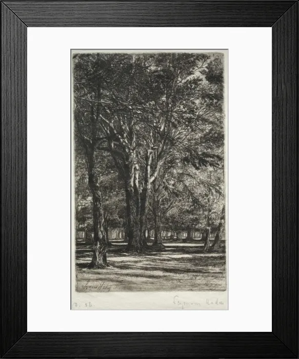 Framed Print : Kensington Gardens (The Larger Plate), 1860. Creator: Francis Seymour Haden (British, 1818-1910) Framed Print : Kensington Gardens (The Larger Plate), 1860. Creator: Francis Seymour Haden (British, 1818-1910)