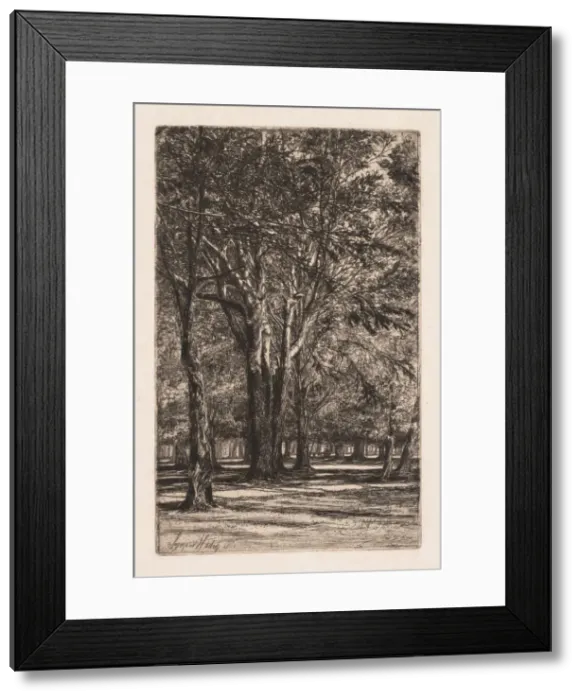 Framed Print : Kensington Gardens, No. 2 (The Larger Plate), 1860. Creator: Francis Seymour Haden (British Framed Print : Kensington Gardens, No. 2 (The Larger Plate), 1860. Creator: Francis Seymour Haden (British