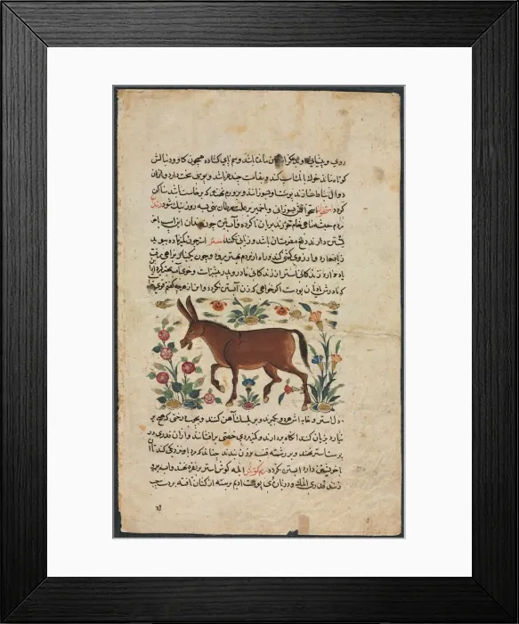 Framed Print : Khar (Ass), from a Nuzhat-nama-yi alai (Excellent Book of Counsel)... 1400s. Creator: Unknown Framed Print : Khar (Ass), from a Nuzhat-nama-yi alai (Excellent Book of Counsel)... 1400s. Creator: Unknown
