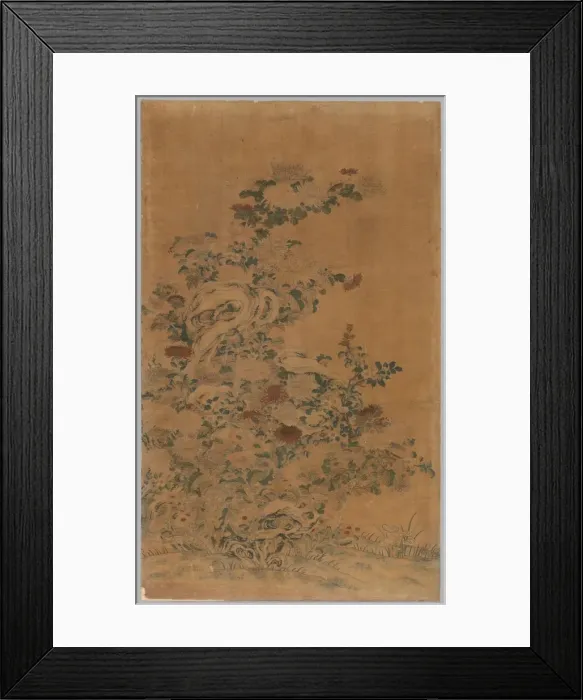 Framed Print : Ko Ssu Panel: Rocks and Chrysanthemums, 1700s - 1800s. Creator: Unknown Framed Print : Ko Ssu Panel: Rocks and Chrysanthemums, 1700s - 1800s. Creator: Unknown