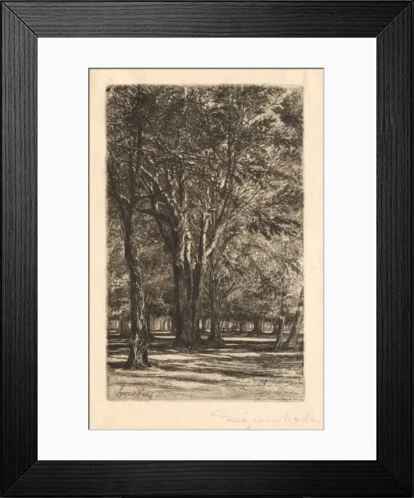 Framed Print : Kensington Gardens, No. 2 (Large Plate), 1860. Creator: Francis Seymour Haden (British, 1818-1910) Framed Print : Kensington Gardens, No. 2 (Large Plate), 1860. Creator: Francis Seymour Haden (British, 1818-1910)