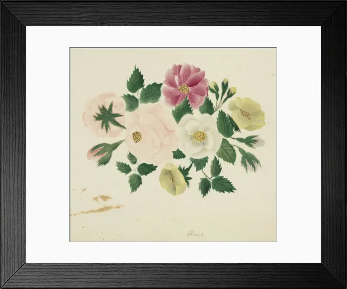 Framed Print : June Roses. Creator: Mary Altha Nims (American, 1817-1907) Framed Print : June Roses. Creator: Mary Altha Nims (American, 1817-1907)