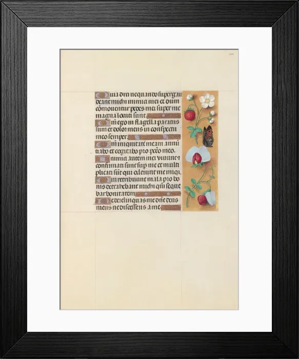 Framed Print : Hours of Queen Isabella the Catholic, Queen of Spain: Fol. 204r, c. 1500. Creator Framed Print : Hours of Queen Isabella the Catholic, Queen of Spain: Fol. 204r, c. 1500. Creator