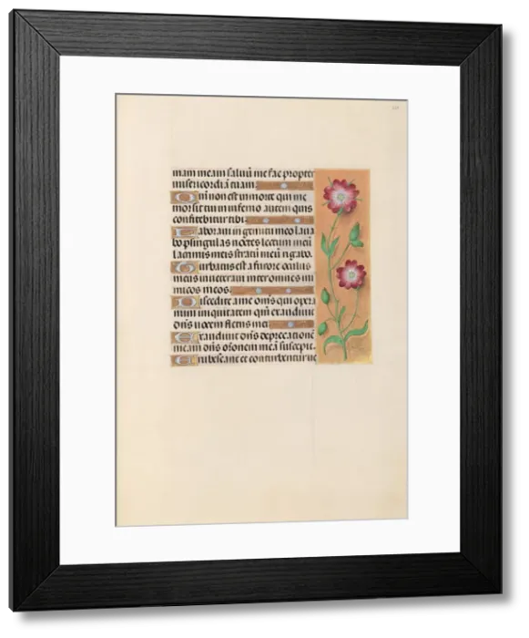 Framed Print : Hours of Queen Isabella the Catholic, Queen of Spain: Fol. 229r, c. 1500. Creator Framed Print : Hours of Queen Isabella the Catholic, Queen of Spain: Fol. 229r, c. 1500. Creator