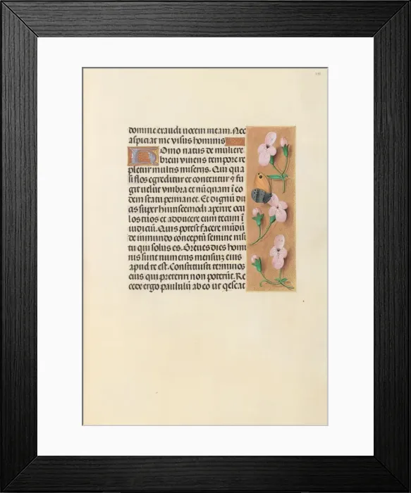 Framed Print : Hours of Queen Isabella the Catholic, Queen of Spain: Fol. 238r, c. 1500. Creator Framed Print : Hours of Queen Isabella the Catholic, Queen of Spain: Fol. 238r, c. 1500. Creator