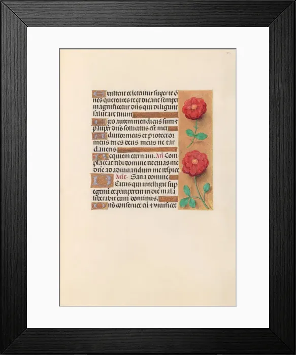 Framed Print : Hours of Queen Isabella the Catholic, Queen of Spain: Fol. 241r, c. 1500. Creator Framed Print : Hours of Queen Isabella the Catholic, Queen of Spain: Fol. 241r, c. 1500. Creator