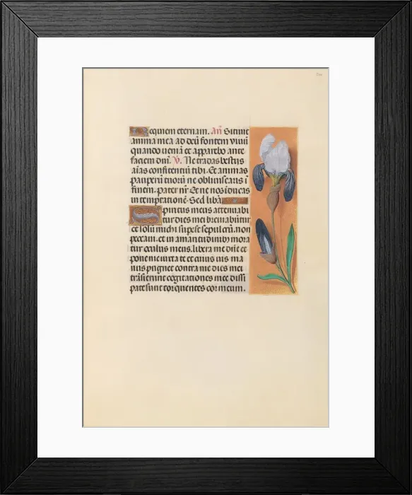 Framed Print : Hours of Queen Isabella the Catholic, Queen of Spain: Fol. 244r, c. 1500. Creator Framed Print : Hours of Queen Isabella the Catholic, Queen of Spain: Fol. 244r, c. 1500. Creator