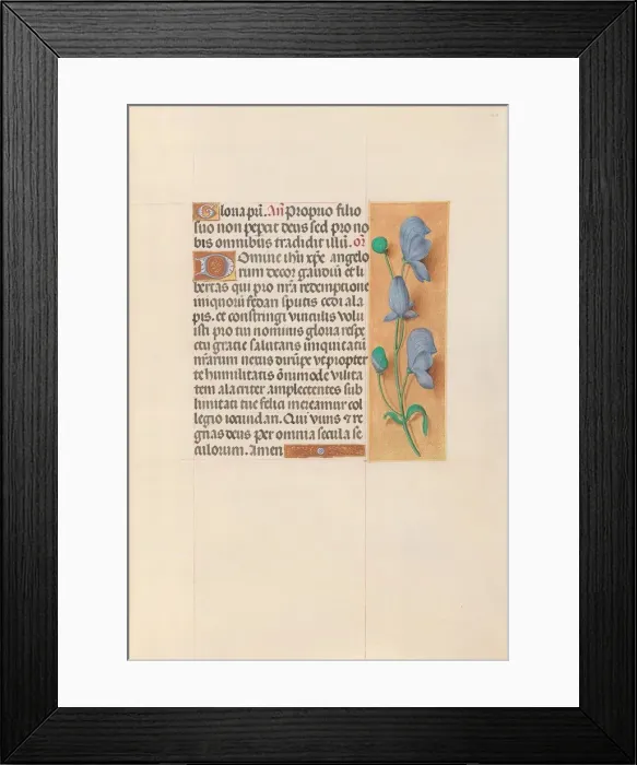 Framed Print : Hours of Queen Isabella the Catholic, Queen of Spain: Fol Framed Print : Hours of Queen Isabella the Catholic, Queen of Spain: Fol