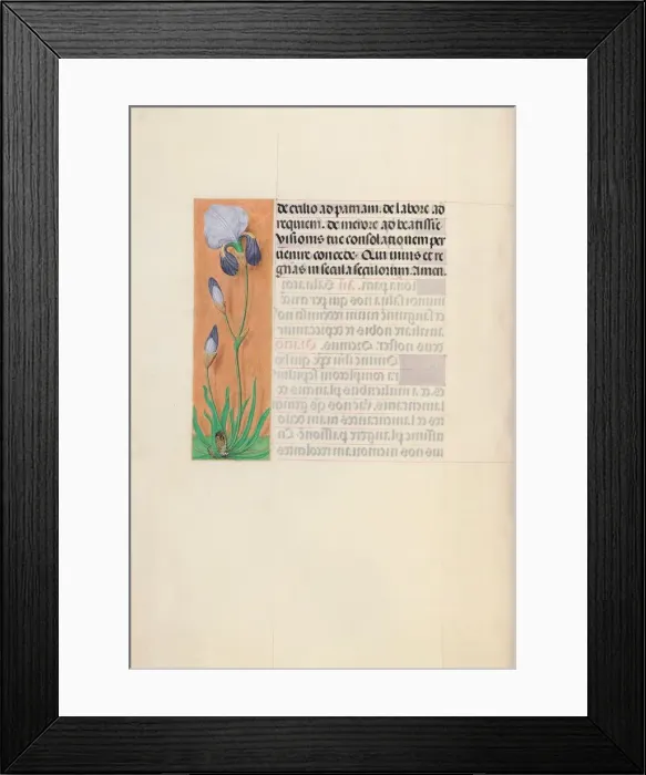 Framed Print : Hours of Queen Isabella the Catholic, Queen of Spain: Fol Framed Print : Hours of Queen Isabella the Catholic, Queen of Spain: Fol