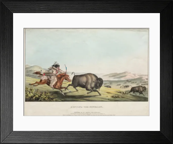 Framed Print : Hunting the Buffalo, 1837. Creator: E. C. Biddle (American); John T. Bowen (British, c Framed Print : Hunting the Buffalo, 1837. Creator: E. C. Biddle (American); John T. Bowen (British, c