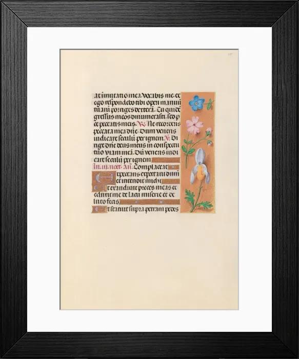 Framed Print : Hours of Queen Isabella the Catholic, Queen of Spain: Fol. 239r, c. 1500. Creator Framed Print : Hours of Queen Isabella the Catholic, Queen of Spain: Fol. 239r, c. 1500. Creator