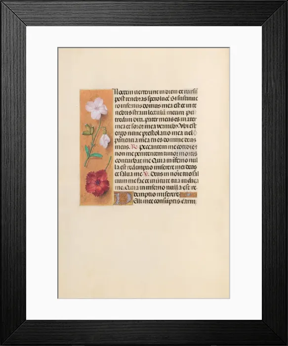 Framed Print : Hours of Queen Isabella the Catholic, Queen of Spain: Fol. 244v, c. 1500. Creator Framed Print : Hours of Queen Isabella the Catholic, Queen of Spain: Fol. 244v, c. 1500. Creator