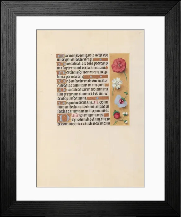 Framed Print : Hours of Queen Isabella the Catholic, Queen of Spain: Fol. 222r, c. 1500. Creator Framed Print : Hours of Queen Isabella the Catholic, Queen of Spain: Fol. 222r, c. 1500. Creator