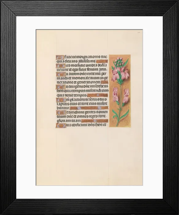 Framed Print : Hours of Queen Isabella the Catholic, Queen of Spain: Fol. 207r, c. 1500. Creator Framed Print : Hours of Queen Isabella the Catholic, Queen of Spain: Fol. 207r, c. 1500. Creator