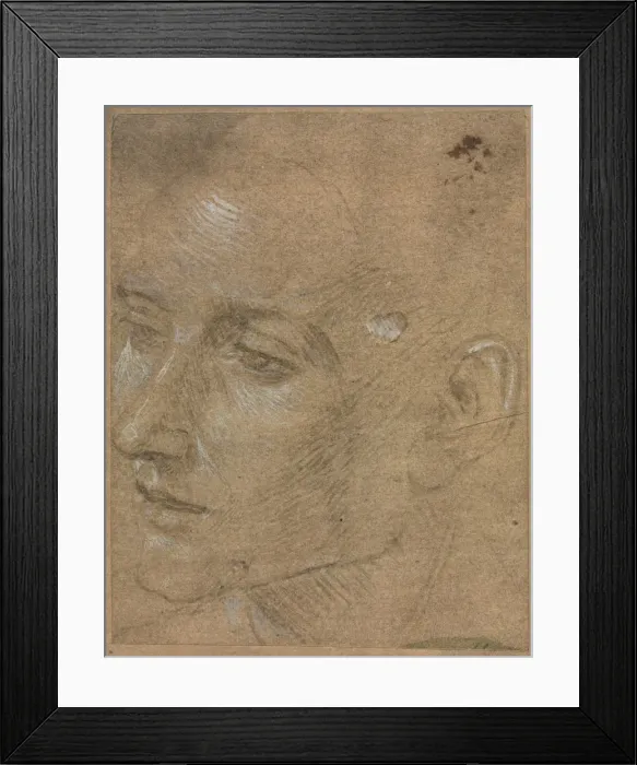 Framed Print : Head of a Young Man, second half 1400s. Creator: Filippino Lippi (Italian, 1457-1504) Framed Print : Head of a Young Man, second half 1400s. Creator: Filippino Lippi (Italian, 1457-1504)
