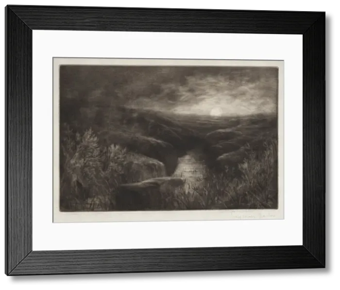 Framed Print : Haunt of the Mosquito. Creator: Francis Seymour Haden (British, 1818-1910) Framed Print : Haunt of the Mosquito. Creator: Francis Seymour Haden (British, 1818-1910)