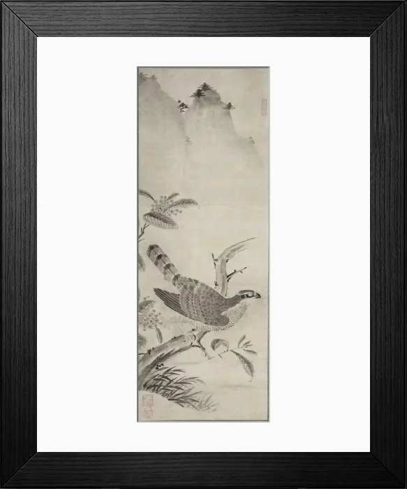 Framed Print : Hawk, mid 1500s. Creator: Masayoshi Fujiwara (Japanese) Framed Print : Hawk, mid 1500s. Creator: Masayoshi Fujiwara (Japanese)