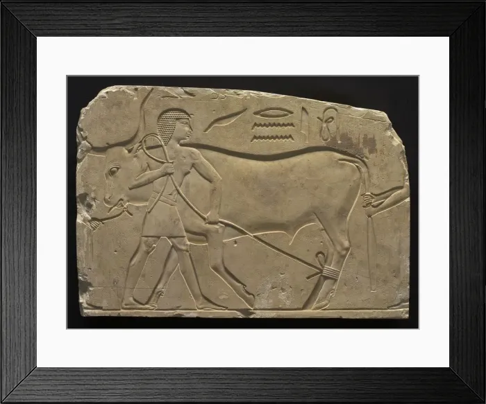Framed Print : Men Trussing an Ox, 667-647 BC. Creator: Unknown Framed Print : Men Trussing an Ox, 667-647 BC. Creator: Unknown