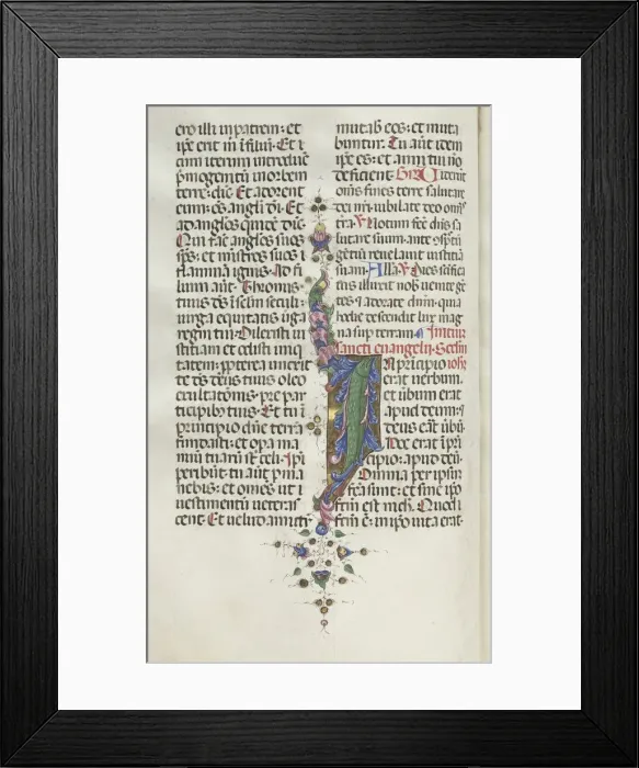 Framed Print : Missale: Fol. 22v: Foliage with Fish, 1469. Creator: Bartolommeo Caporali (Italian, c Framed Print : Missale: Fol. 22v: Foliage with Fish, 1469. Creator: Bartolommeo Caporali (Italian, c