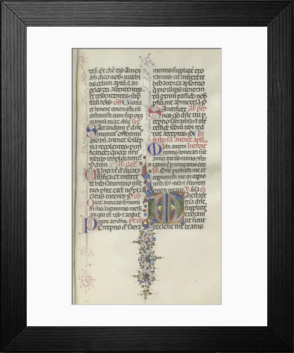 Framed Print : Missale: Fol. 260: Foliage with Fruit, 1469. Creator: Bartolommeo Caporali (Italian, c Framed Print : Missale: Fol. 260: Foliage with Fruit, 1469. Creator: Bartolommeo Caporali (Italian, c