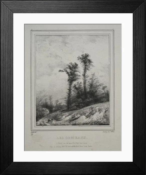 Framed Print : Landscapes: Young Elm Trees, 1829. Creator: Paul Hüet (French, 1803-1869) Framed Print : Landscapes: Young Elm Trees, 1829. Creator: Paul Hüet (French, 1803-1869)