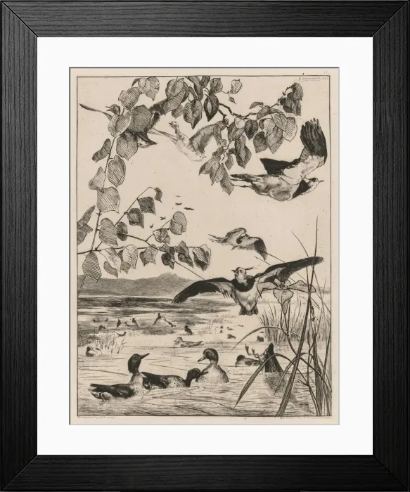 Framed Print : Lapwings and Teals, 1862. Creator: Felix Bracquemond (French, 1833-1914) Framed Print : Lapwings and Teals, 1862. Creator: Felix Bracquemond (French, 1833-1914)