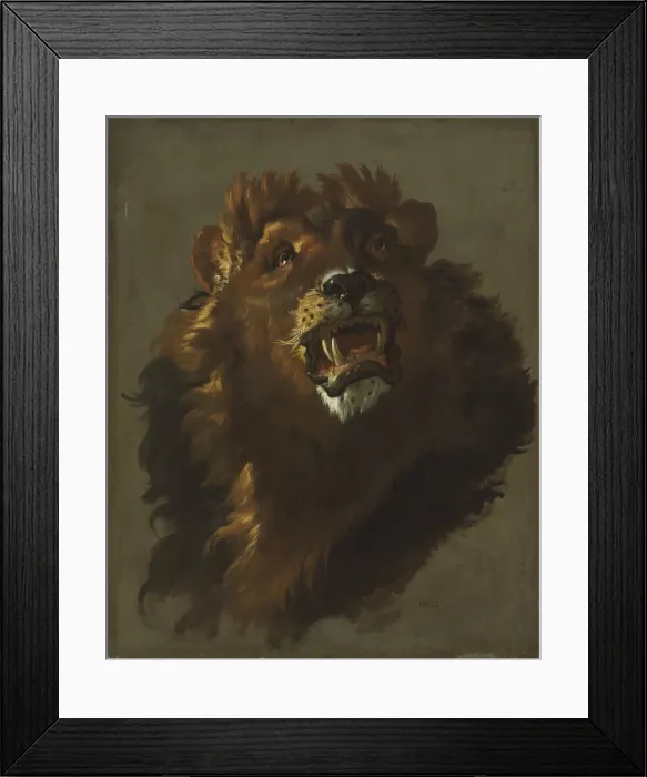 Framed Print : Lion, 1750s. Creator: Giuseppe Baldrighi (Italian, 1723-1803) Framed Print : Lion, 1750s. Creator: Giuseppe Baldrighi (Italian, 1723-1803)