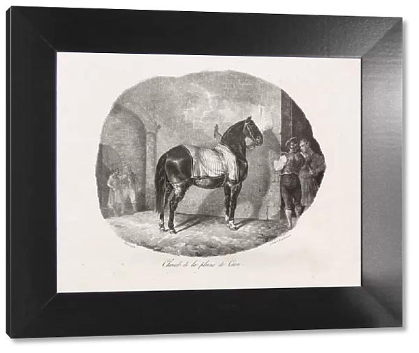 Lithographed Studies of Horses: Pl. 7, Horse from the Caen Plain, 1822