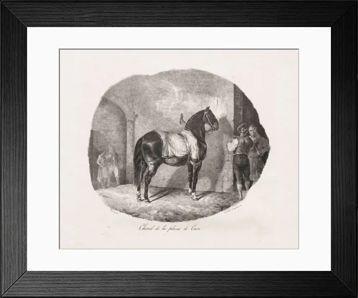 Framed Print : Lithographed Studies of Horses: Pl. 7, Horse from the Caen Plain, 1822 Framed Print : Lithographed Studies of Horses: Pl. 7, Horse from the Caen Plain, 1822
