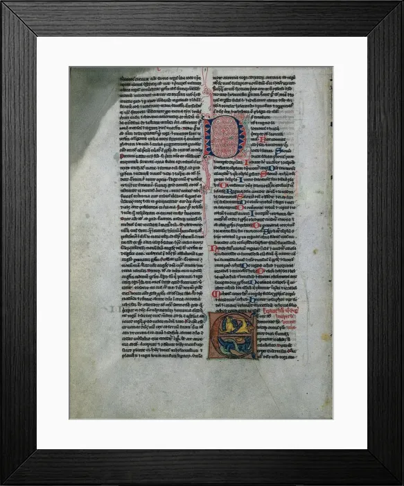 Framed Print : Leaf from a Bible: Initial E: Entwined Lions and Serpents (1 of 2 Excised Leaves), c Framed Print : Leaf from a Bible: Initial E: Entwined Lions and Serpents (1 of 2 Excised Leaves), c