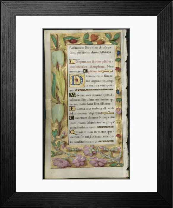 Framed Print : Leaf from a Book of Hours: Penitential Psalms, c. 1530-1535. Creator: Noel Bellemare (French Framed Print : Leaf from a Book of Hours: Penitential Psalms, c. 1530-1535. Creator: Noel Bellemare (French