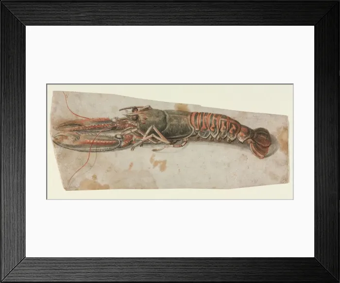 Framed Print : Lobster, 1600s. Creator: Anonymous Framed Print : Lobster, 1600s. Creator: Anonymous