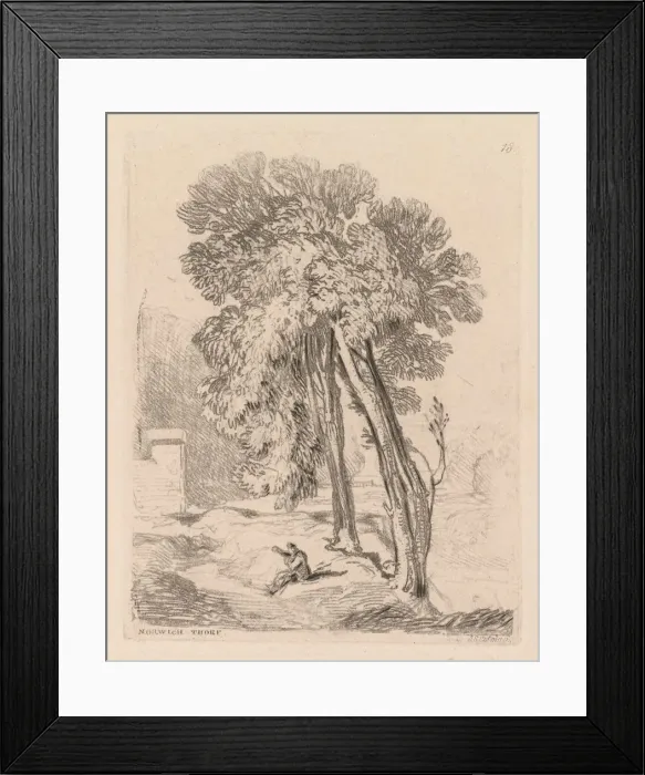 Framed Print : Liber Studiorum: Plate 18, Trees at Norwich Thorp, Norfolk, 1838. Creator: John Sell Cotman Framed Print : Liber Studiorum: Plate 18, Trees at Norwich Thorp, Norfolk, 1838. Creator: John Sell Cotman