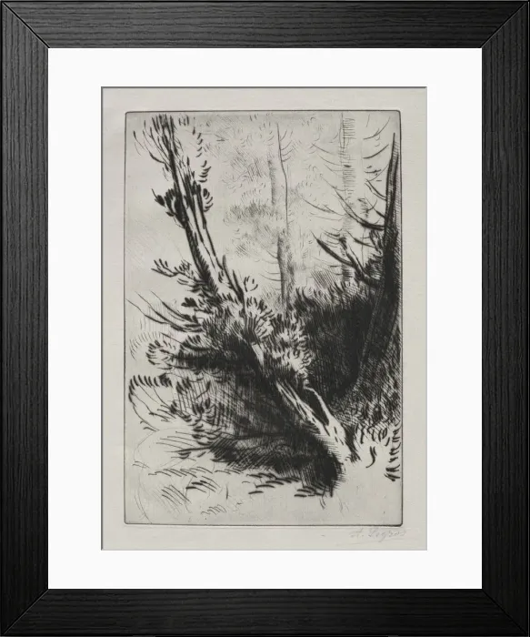 Framed Print : In the Woods. Creator: Alphonse Legros (French, 1837-1911) Framed Print : In the Woods. Creator: Alphonse Legros (French, 1837-1911)
