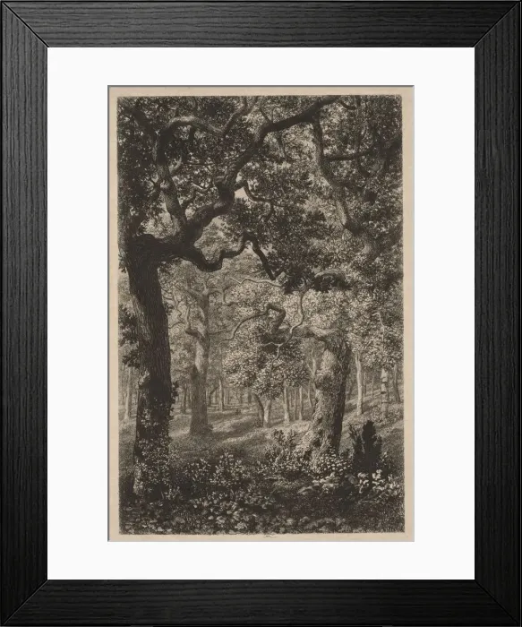 Framed Print : In the Woods. Creator: Adolphe Theodore Jules Martial Potemont (French, 1828-1883) Framed Print : In the Woods. Creator: Adolphe Theodore Jules Martial Potemont (French, 1828-1883)