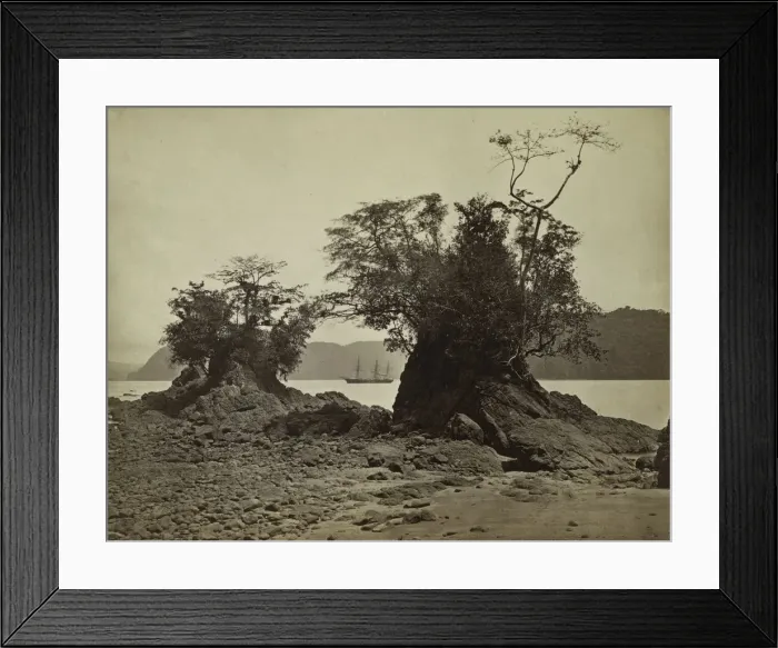 Framed Print : Islands in Limon Bay, 1871. Creator: John Moran (American, 1829-1902) Framed Print : Islands in Limon Bay, 1871. Creator: John Moran (American, 1829-1902)