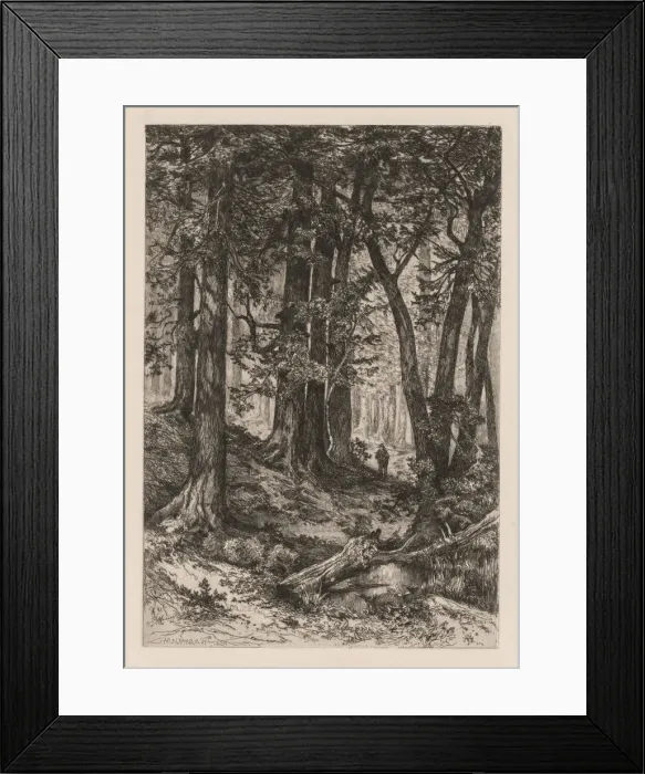 Framed Print : Interior of a California Forest (after Thomas Moran (American, 1837-1926)), , 1888 Framed Print : Interior of a California Forest (after Thomas Moran (American, 1837-1926)), , 1888