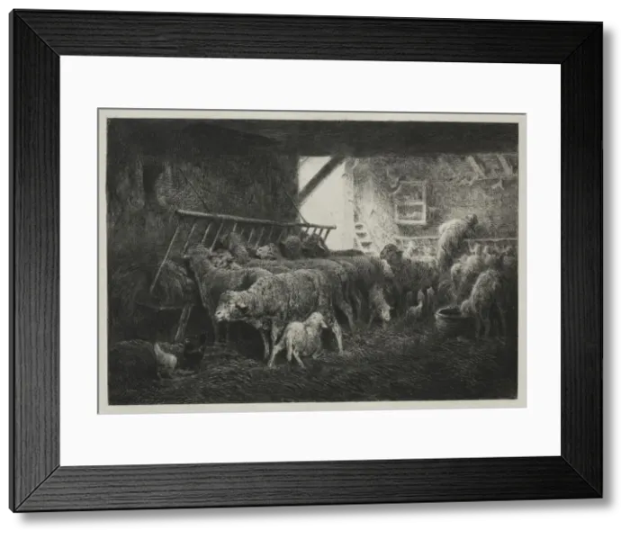 Framed Print : Interior of Sheep Enclosure. Creator: Charles-Emile Jacque (French, 1813-1894) Framed Print : Interior of Sheep Enclosure. Creator: Charles-Emile Jacque (French, 1813-1894)